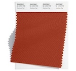 color sample of a shade of red called rooibos tea